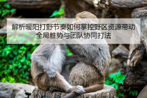 解析暖阳打野节奏如何掌控野区资源带动全局胜势与团队协同打法