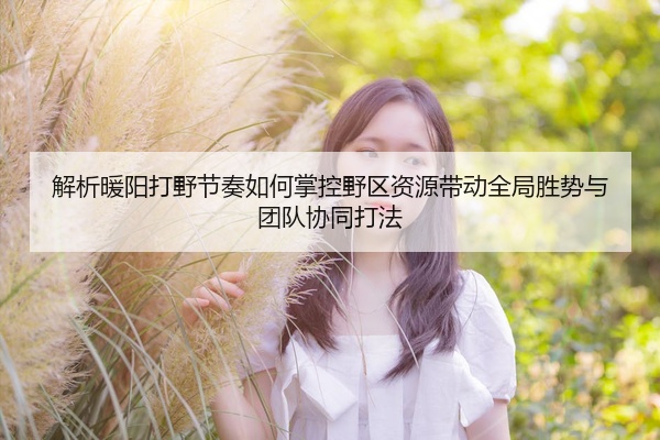 解析暖阳打野节奏如何掌控野区资源带动全局胜势与团队协同打法